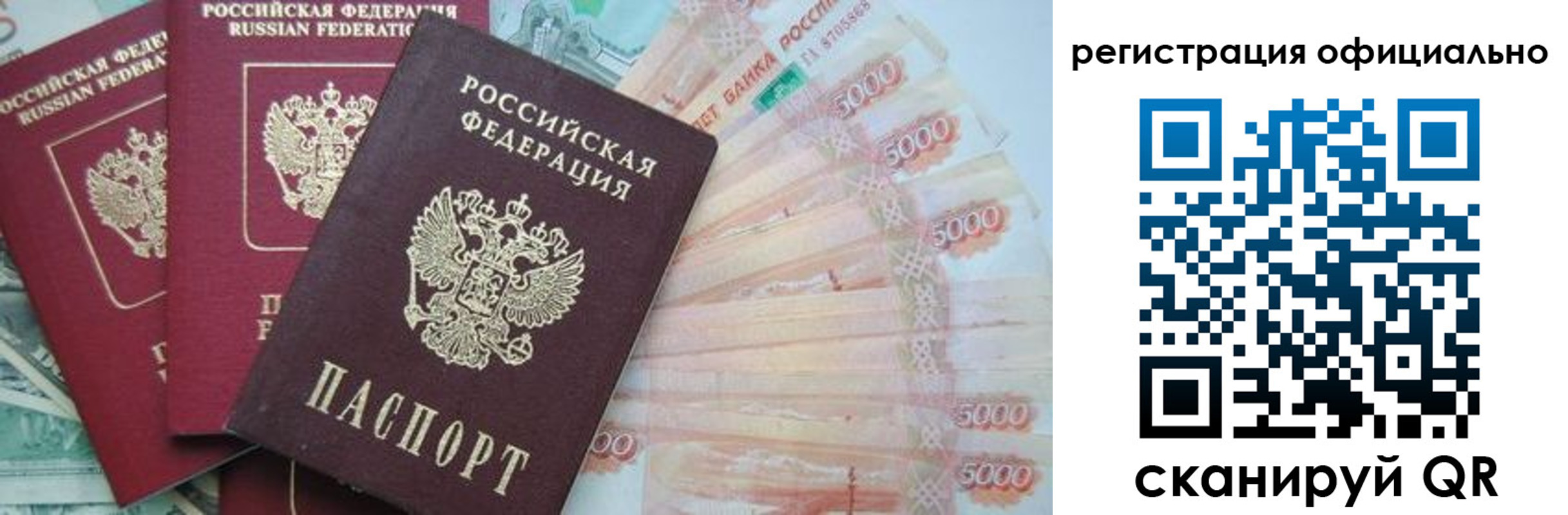 прописка законно в Светлограде